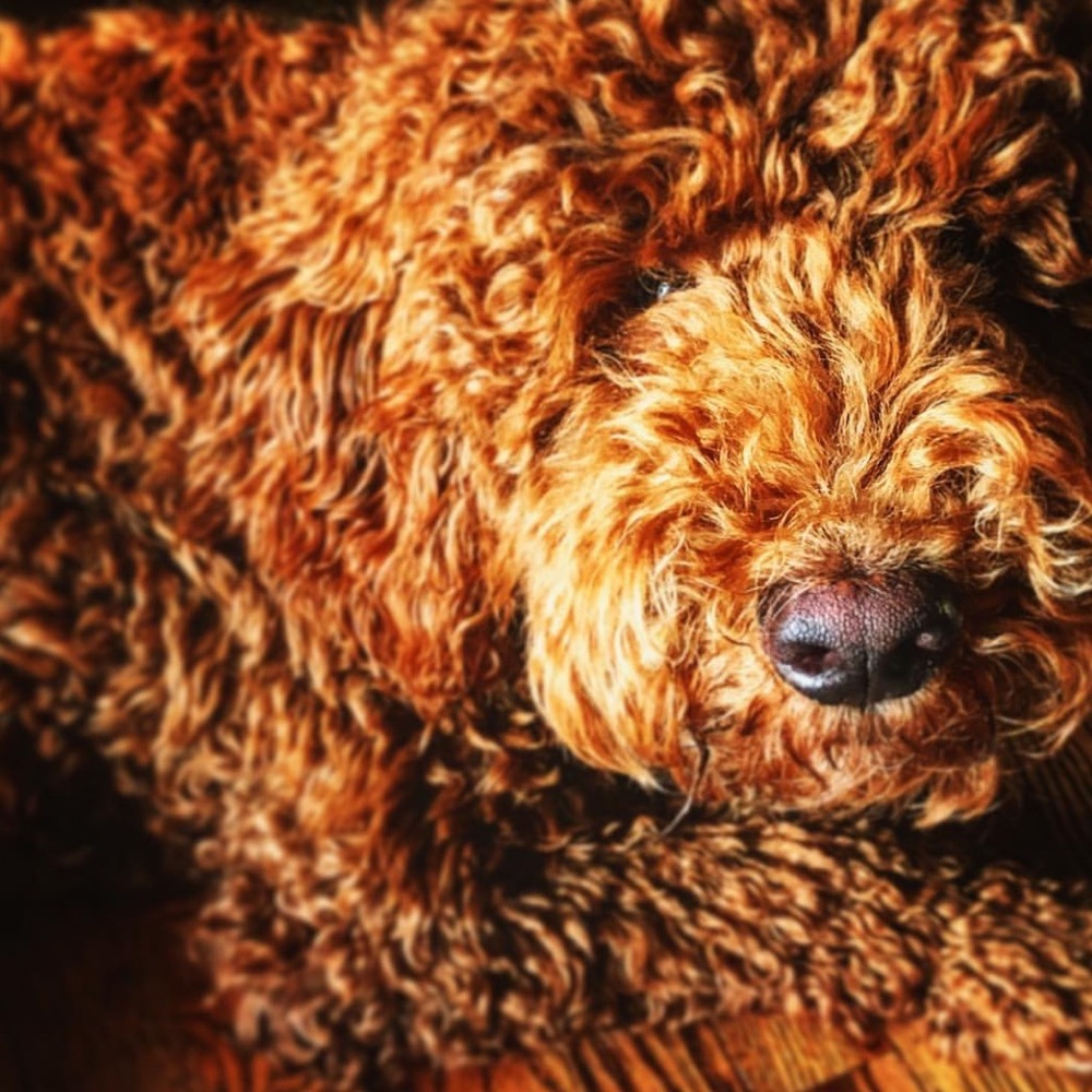 Meet Your Posher, Keeley